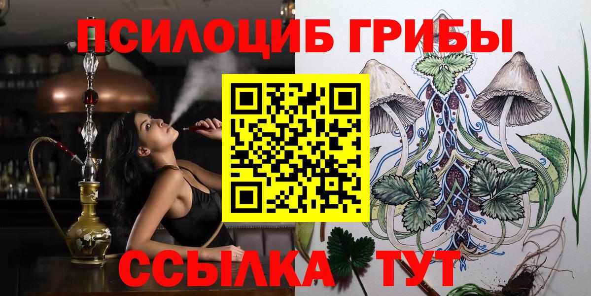 Галлюциногенные грибы прущие грибы Верхняя Пышма