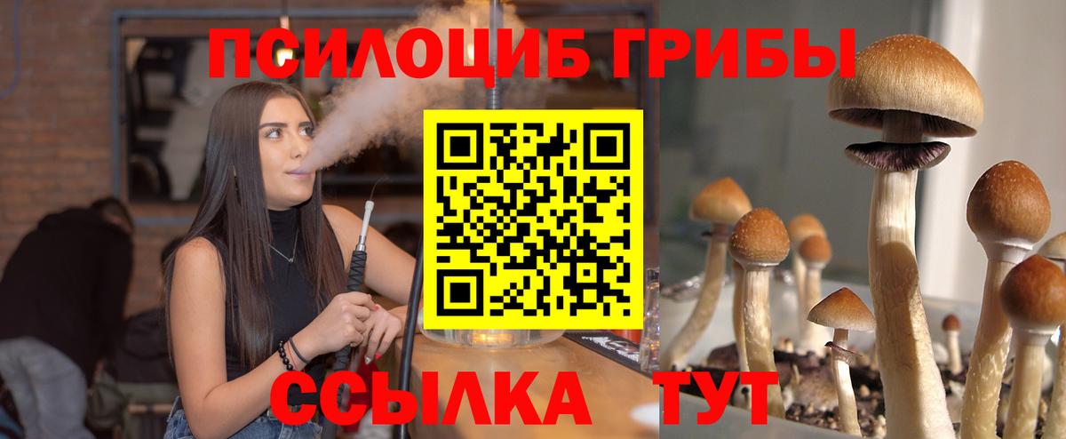 Псилоцибиновые грибы прущие грибы  Галлюциногенные грибы Magic Shrooms  Вход с VPN  Верхняя Пышма 